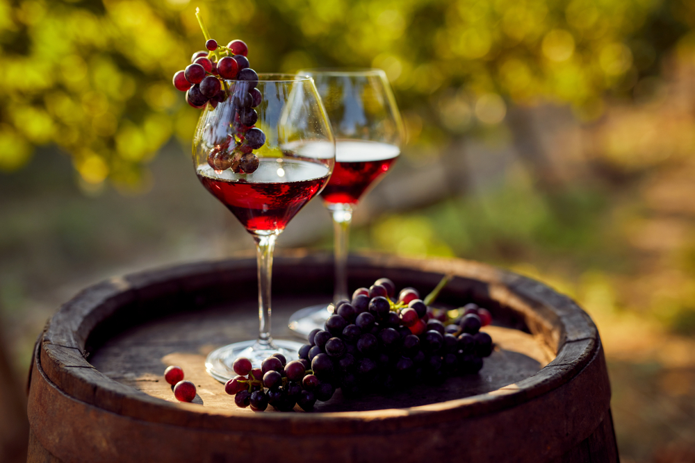 What Happens to Your Body with Daily Wine Consumption